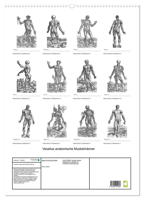Vesalius anatomical muscle men (CALVENDO wall calendar 2024) 