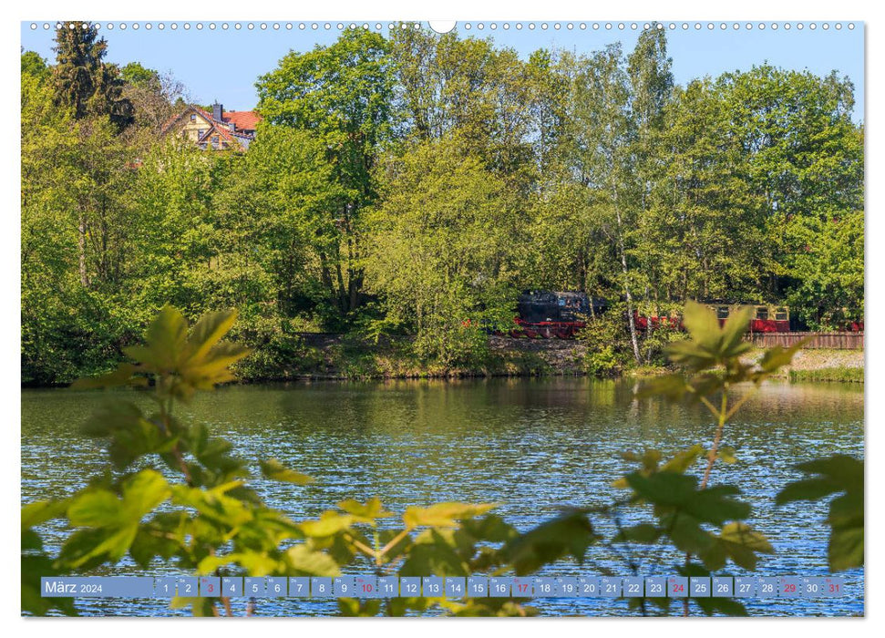 Ein Sommertag in Gernrode (CALVENDO Wandkalender 2024)