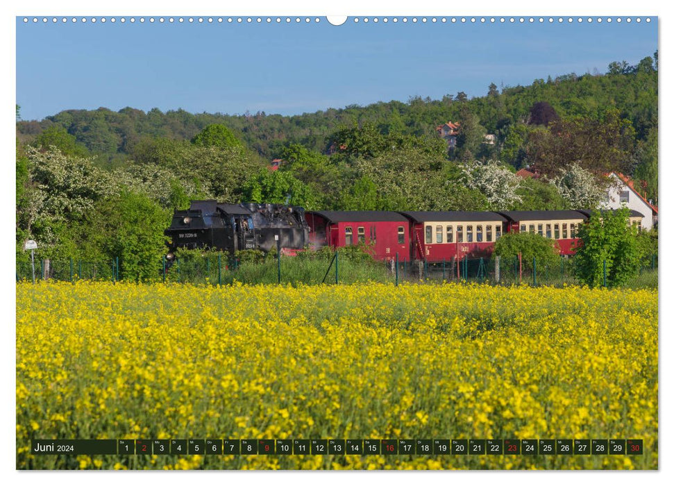 A summer day in Gernrode (CALVENDO wall calendar 2024) 