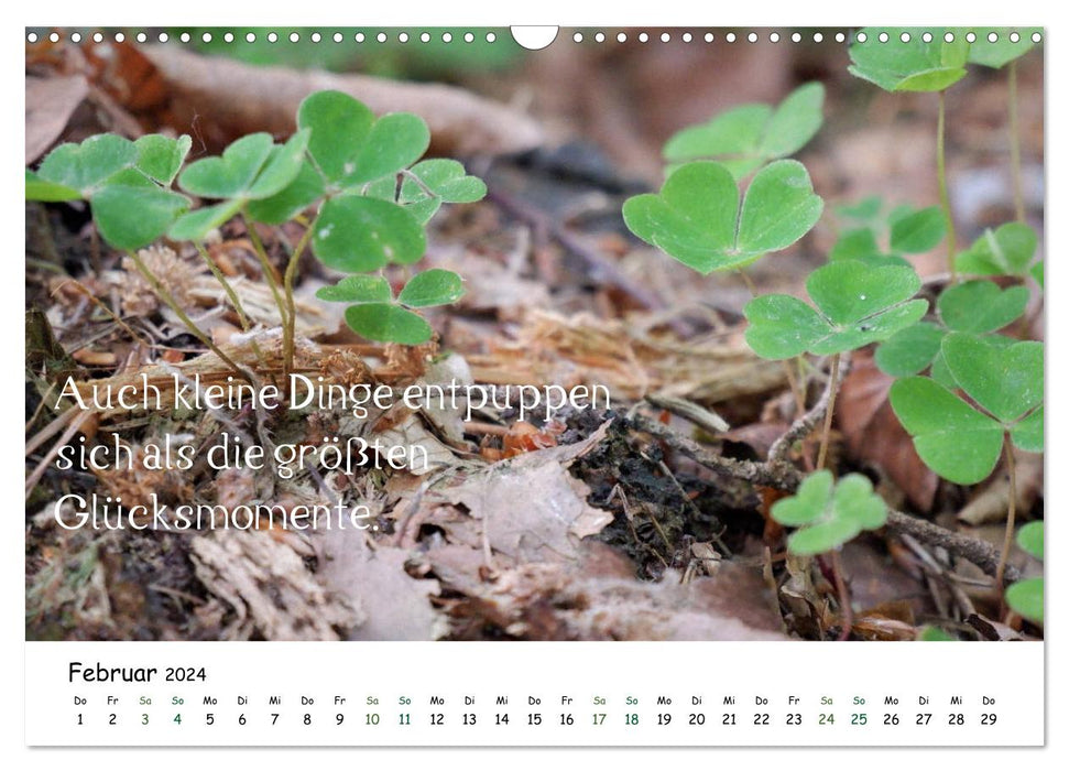 Pure happiness in the forest - calendar 2024 (CALVENDO wall calendar 2024) 