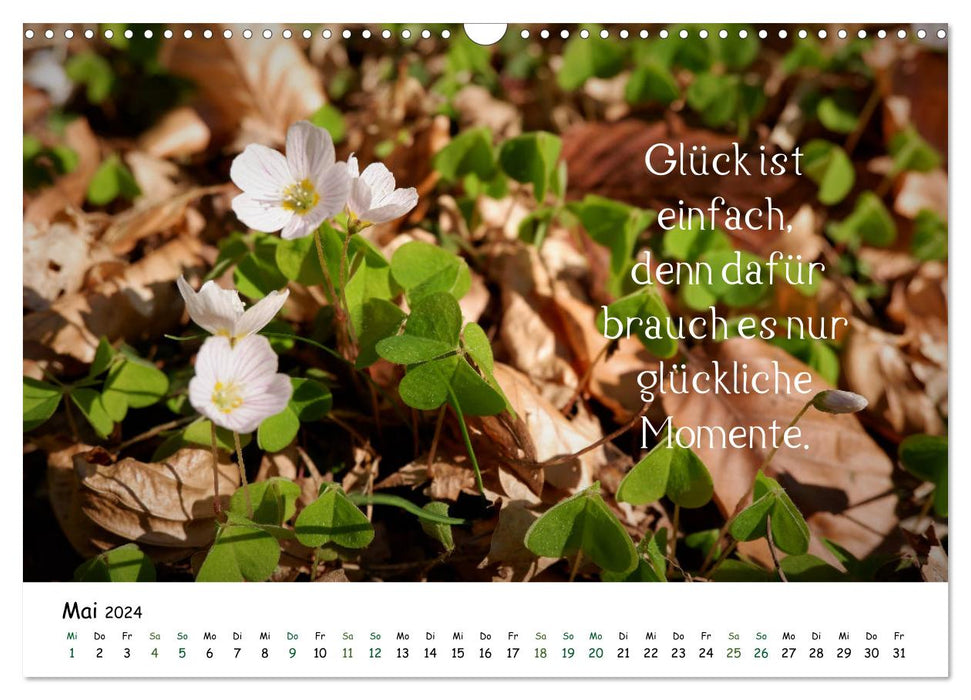 Pure happiness in the forest - calendar 2024 (CALVENDO wall calendar 2024) 