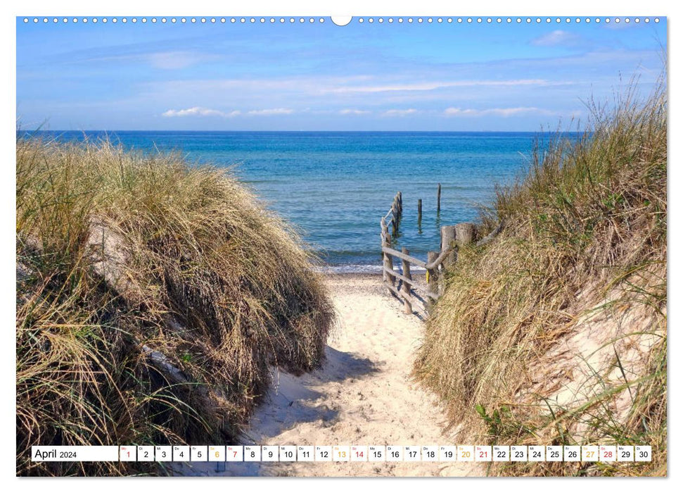 Fischland & Darß Traumlandschaft an Ostsee und Bodden (CALVENDO Wandkalender 2024)
