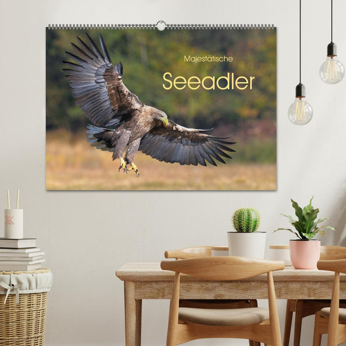 Majestätische Seeadler (CALVENDO Wandkalender 2024)