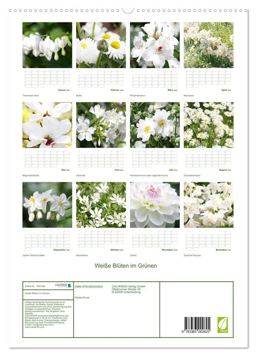 Weiße Blüten im Grünen (CALVENDO Premium Wandkalender 2024)
