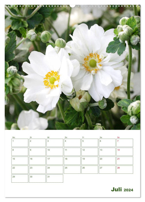 White flowers in the green (CALVENDO Premium Wall Calendar 2024) 