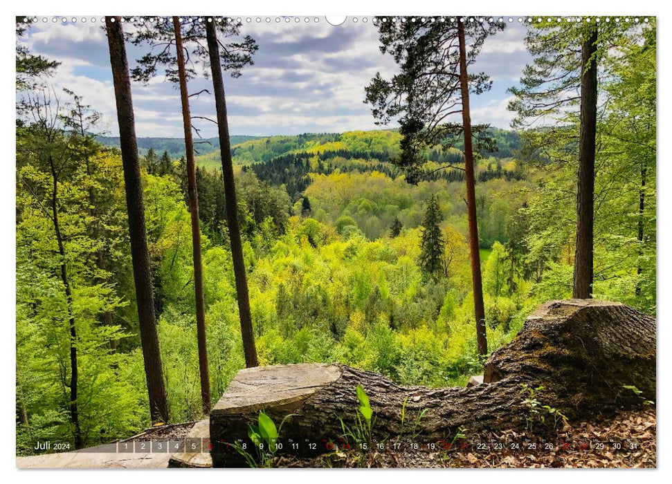 Favorite places in and around Tübingen (CALVENDO Premium Wall Calendar 2024) 