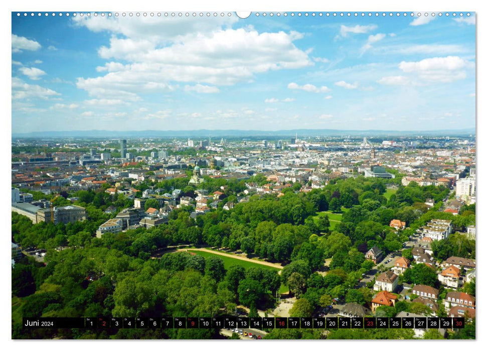Grünes Mannheim (CALVENDO Premium Wandkalender 2024)
