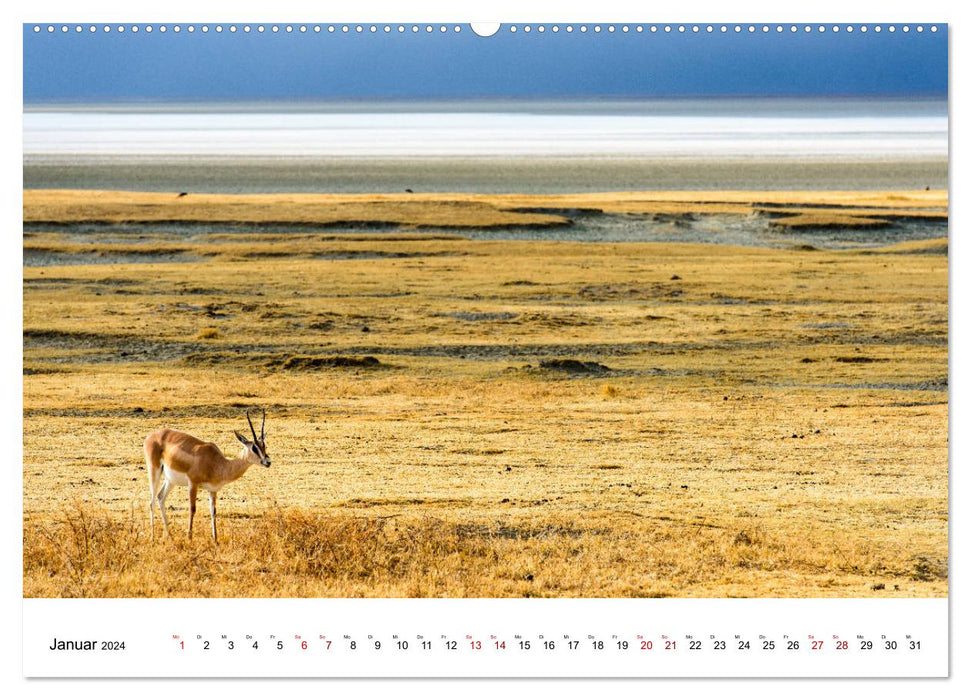 Serengeti - on the trail of a zoologist (CALVENDO wall calendar 2024) 