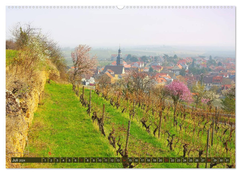 Palatinate Almond Path - The German Wine Route in pink (CALVENDO Premium Wall Calendar 2024) 