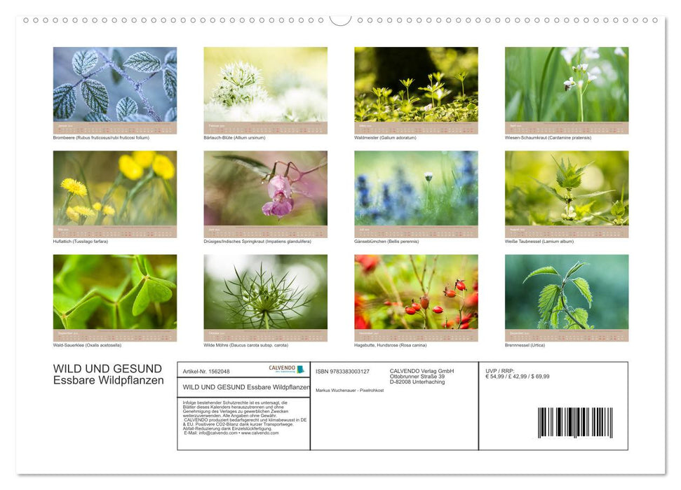 WILD AND HEALTHY Edible wild plants (CALVENDO wall calendar 2024) 