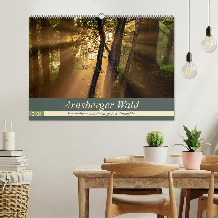 Arnsberger Wald (CALVENDO Wandkalender 2024)