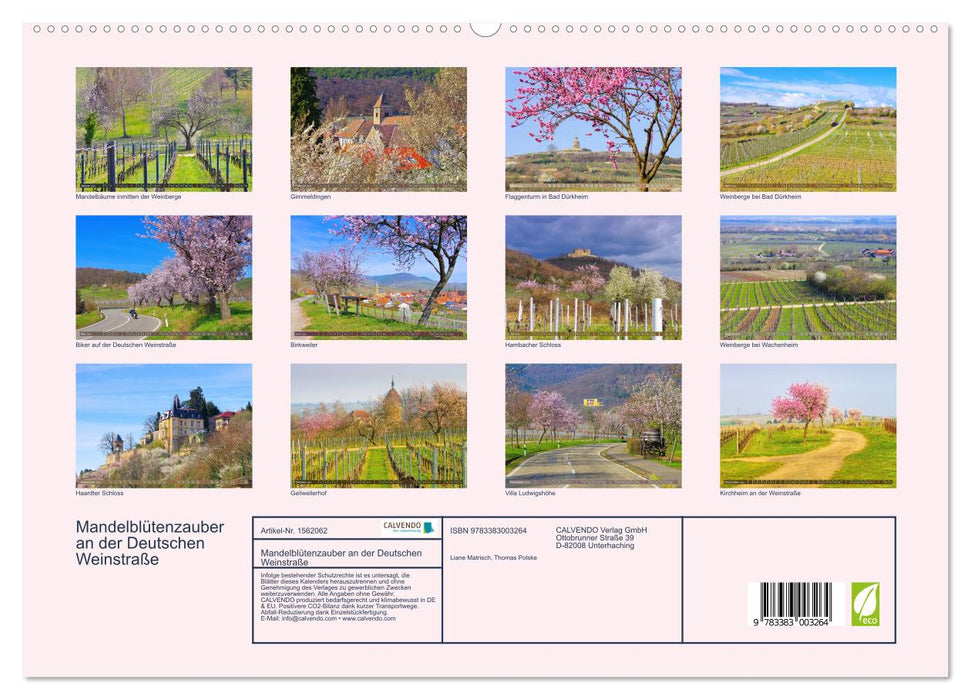 Almond blossom magic on the German Wine Route (CALVENDO Premium Wall Calendar 2024) 