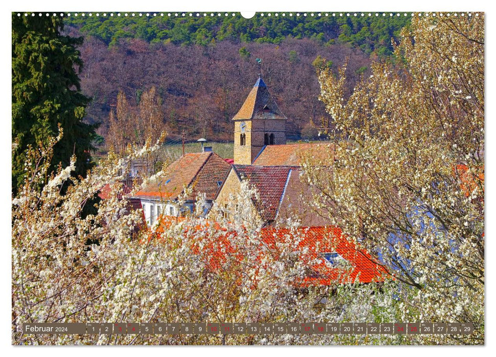 Almond blossom magic on the German Wine Route (CALVENDO Premium Wall Calendar 2024) 