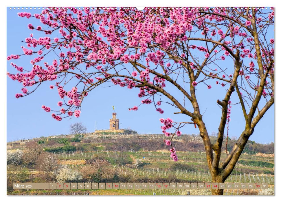 Almond blossom magic on the German Wine Route (CALVENDO Premium Wall Calendar 2024) 