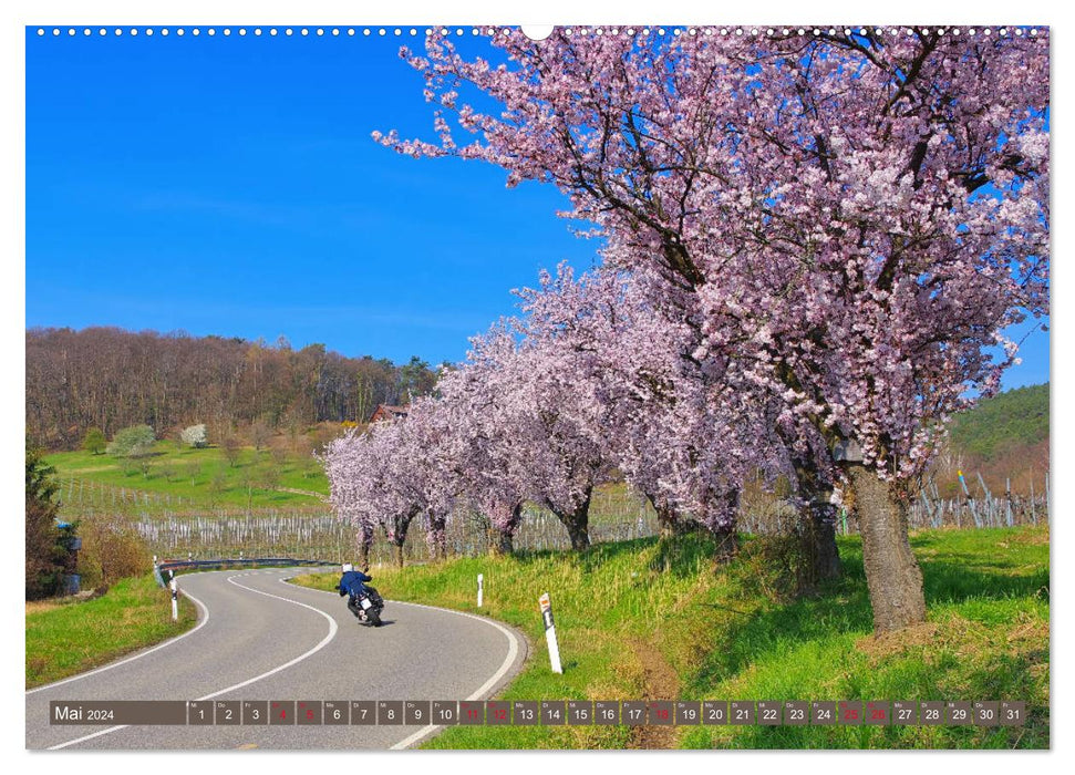 Almond blossom magic on the German Wine Route (CALVENDO Premium Wall Calendar 2024) 