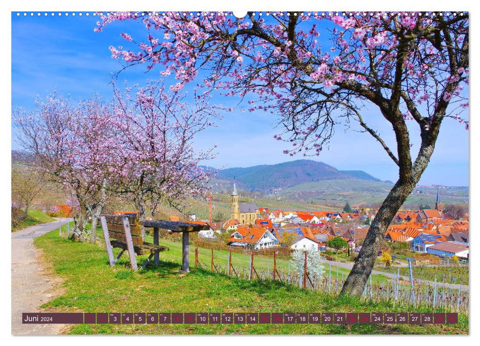 Almond blossom magic on the German Wine Route (CALVENDO Premium Wall Calendar 2024) 