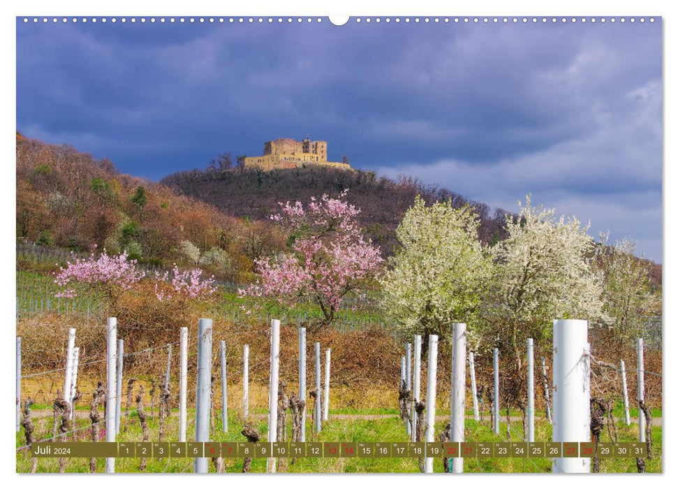 Almond blossom magic on the German Wine Route (CALVENDO Premium Wall Calendar 2024) 