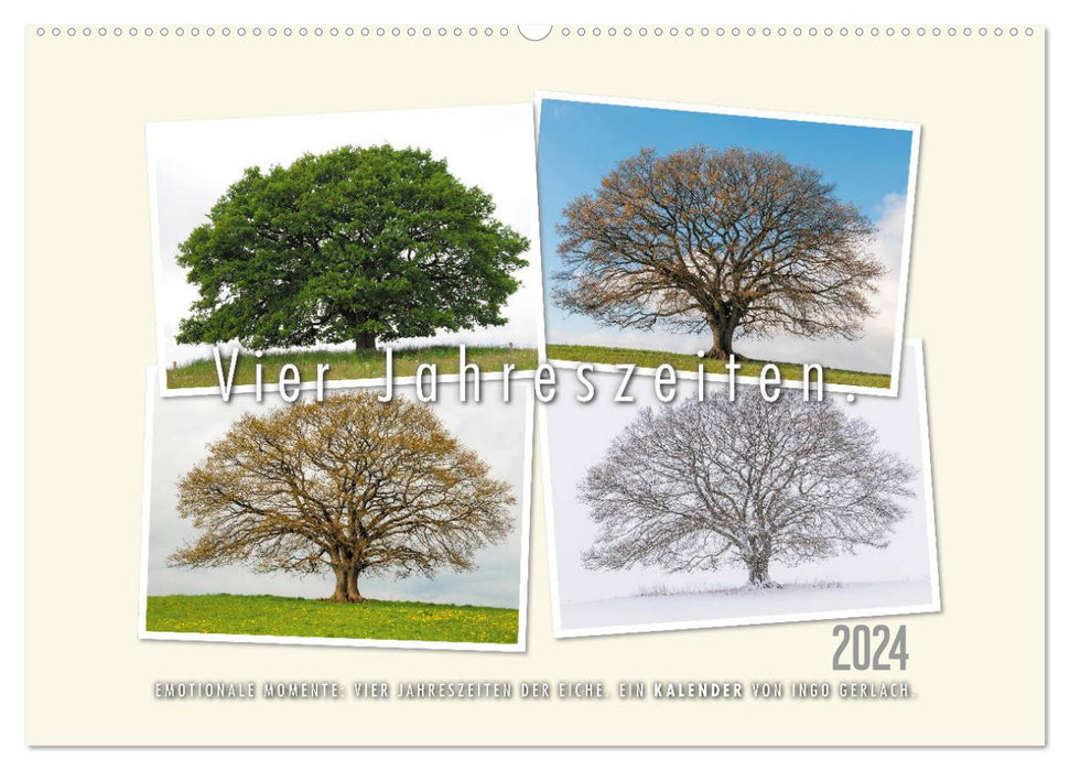 Vier Jahreszeiten der Eiche. (CALVENDO Wandkalender 2024)