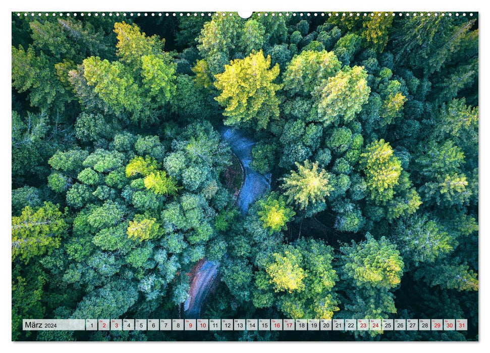 Forest - above the treetops (CALVENDO Premium Wall Calendar 2024) 