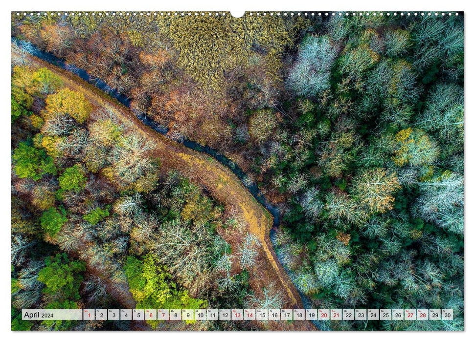 Wald - über den Wipfeln (CALVENDO Premium Wandkalender 2024)