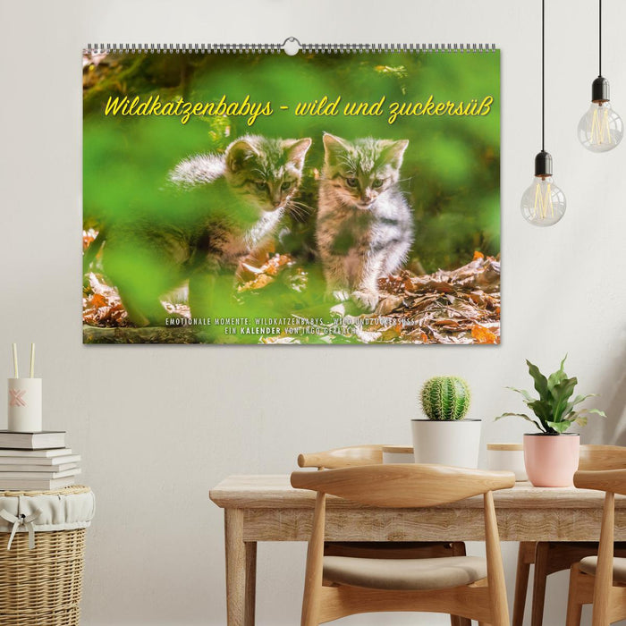 Wild cat babies - wild and sweet. (CALVENDO wall calendar 2024) 