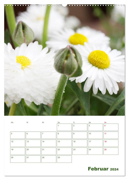 Weiße Blüten im Grünen (CALVENDO Wandkalender 2024)