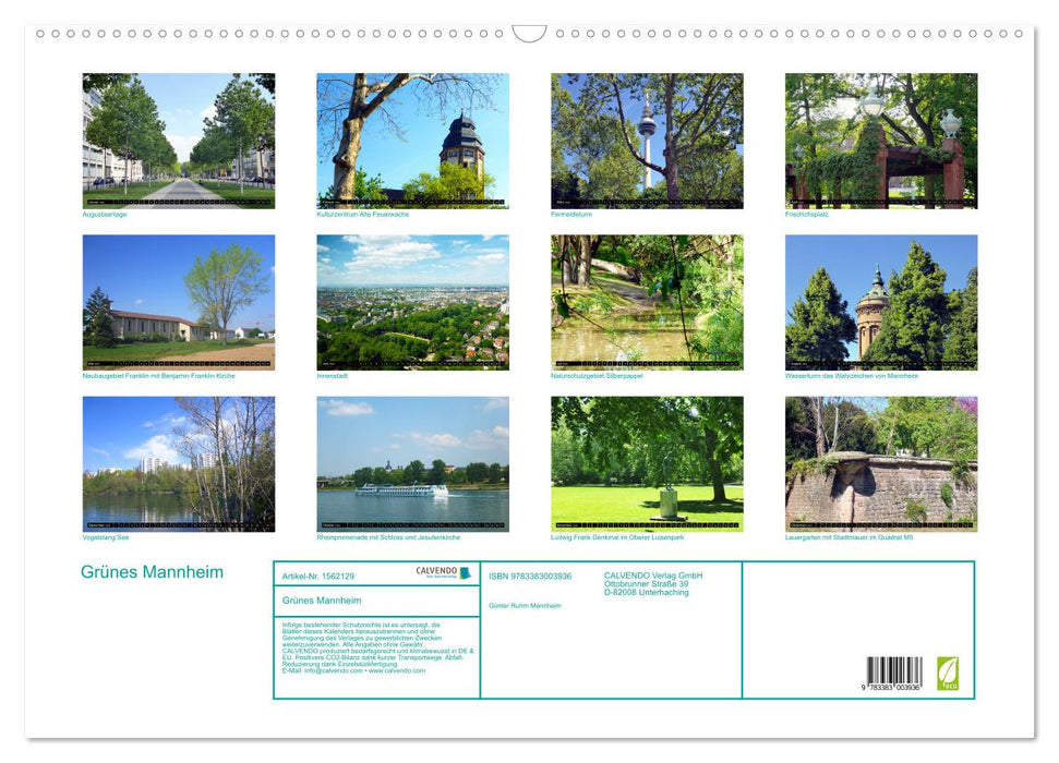 Green Mannheim (CALVENDO wall calendar 2024) 