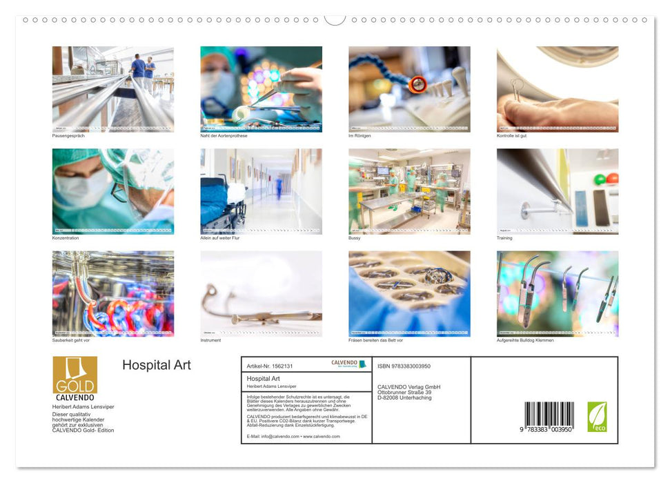 Hospital Art (CALVENDO Premium Wandkalender 2024)