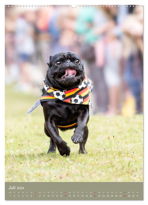 Pug Race (CALVENDO Premium Wall Calendar 2024) 