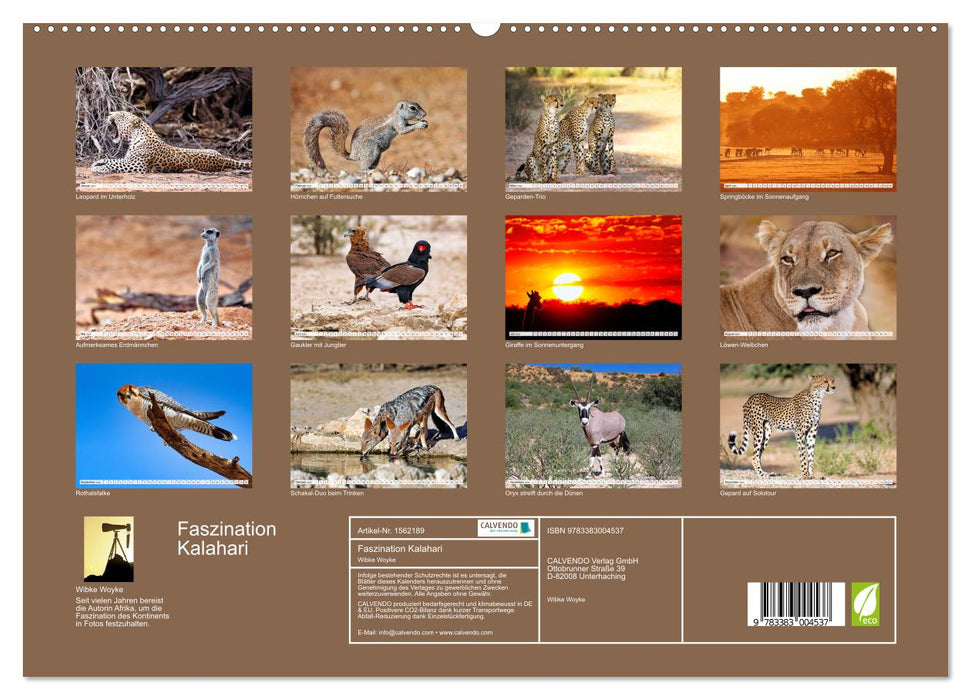 Fascination Kalahari (CALVENDO Premium Wall Calendar 2024) 