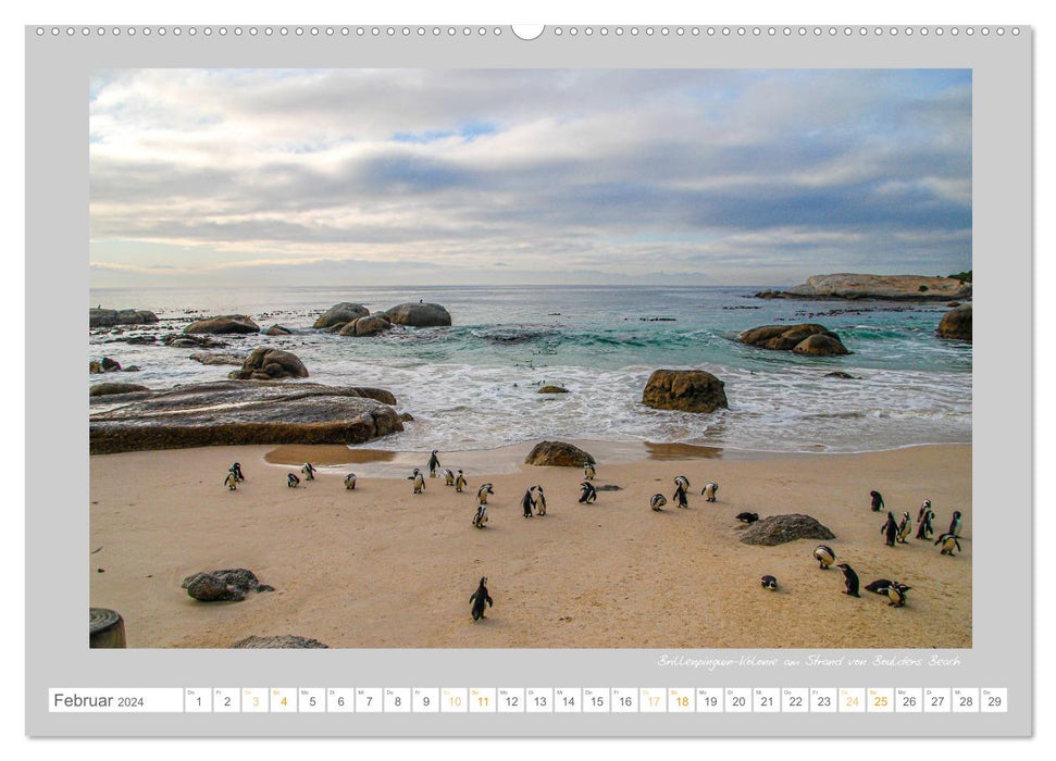 Cape Town, a place of longing (CALVENDO Premium Wall Calendar 2024) 