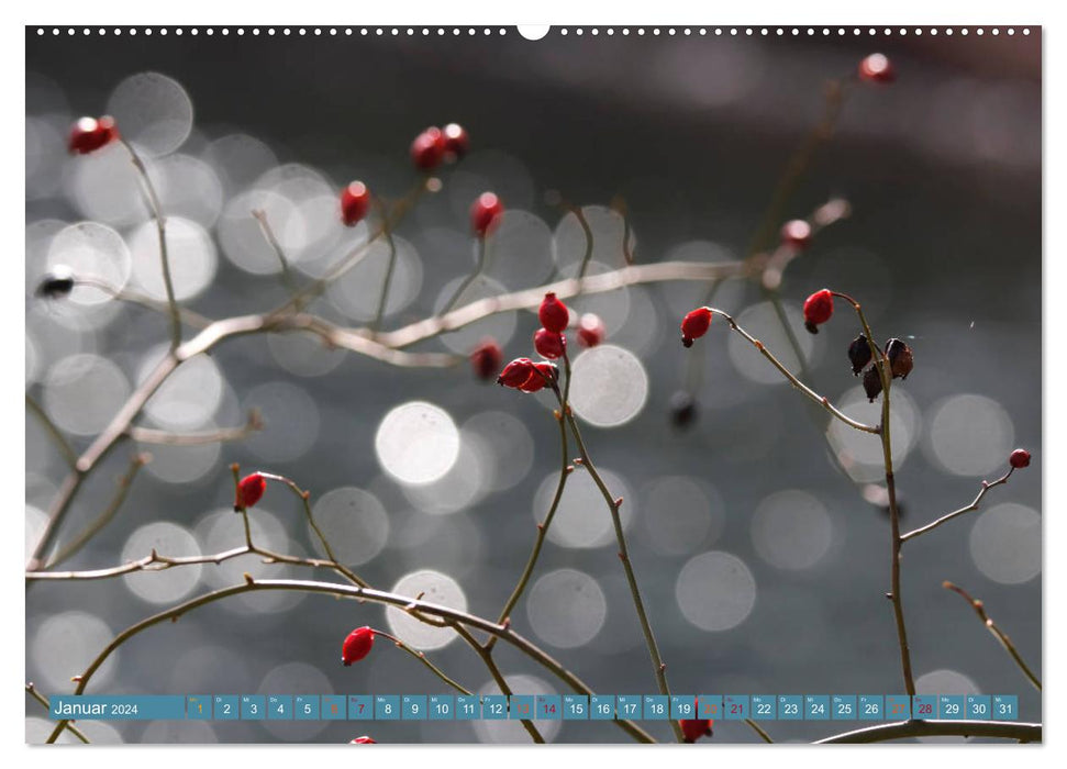 Magical Bokeh - Glittering World of Tiny Water Drops (CALVENDO Premium Wall Calendar 2024) 