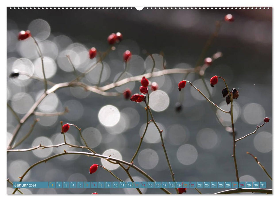 Zauberhaftes Bokeh - Glitzernde Welt winziger Wassertropfen (CALVENDO Premium Wandkalender 2024)