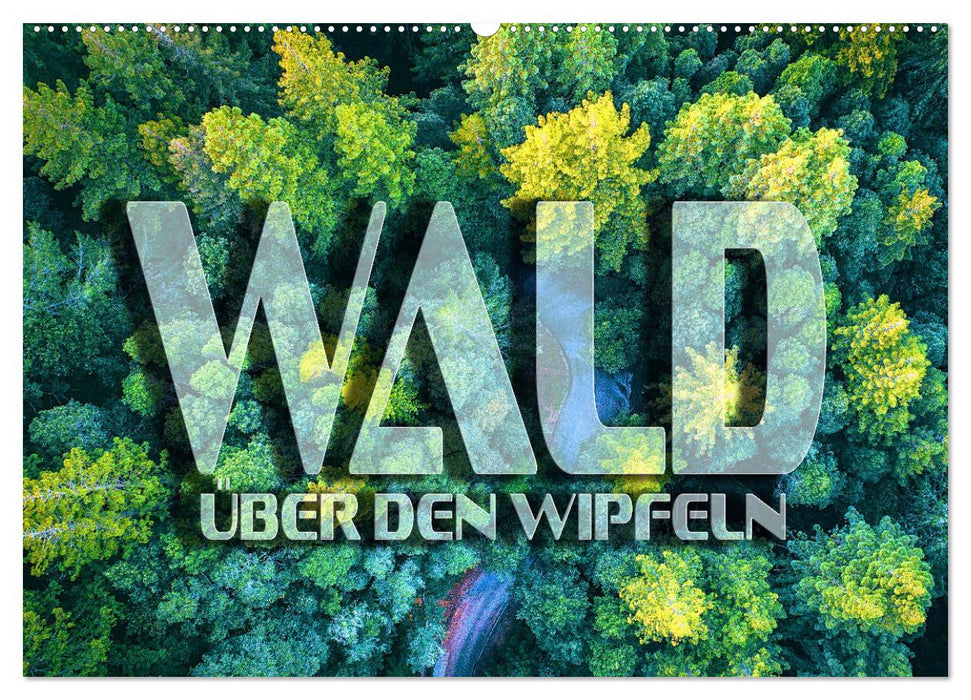 Wald - über den Wipfeln (CALVENDO Wandkalender 2024)