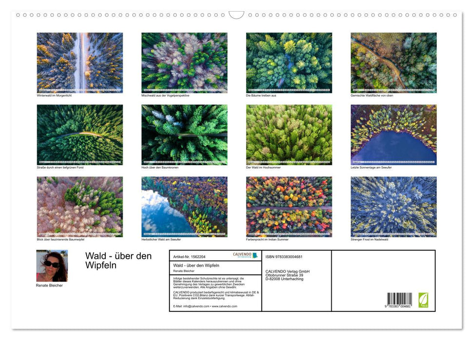 Wald - über den Wipfeln (CALVENDO Wandkalender 2024)