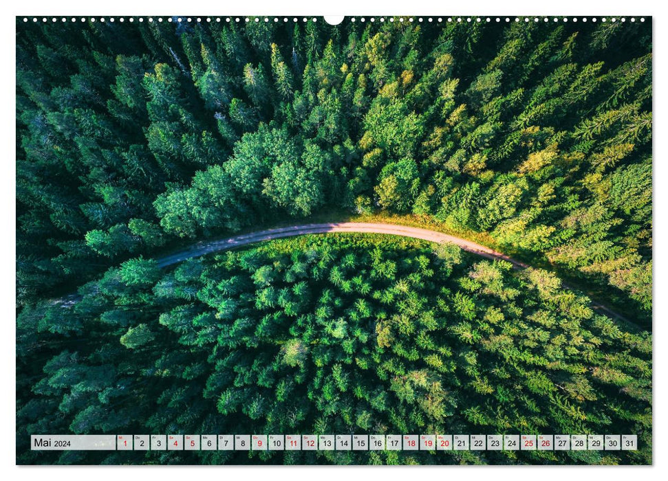 Wald - über den Wipfeln (CALVENDO Wandkalender 2024)