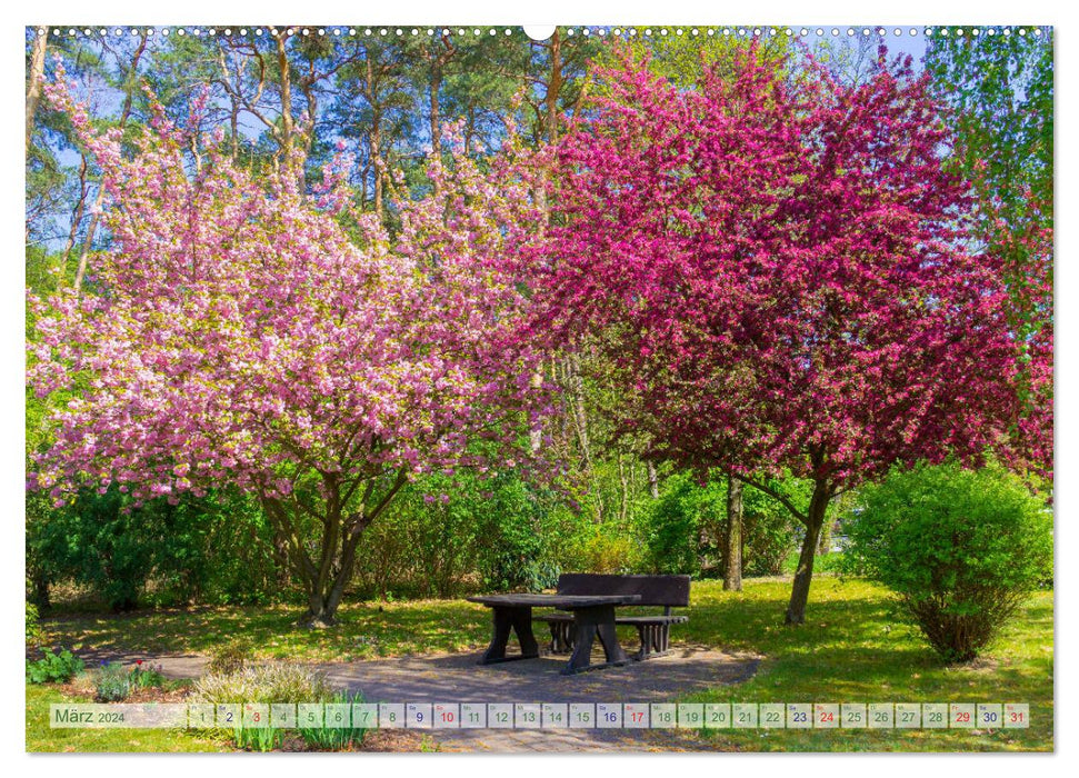 Bad Liebenwerda in spring (CALVENDO Premium Wall Calendar 2024) 