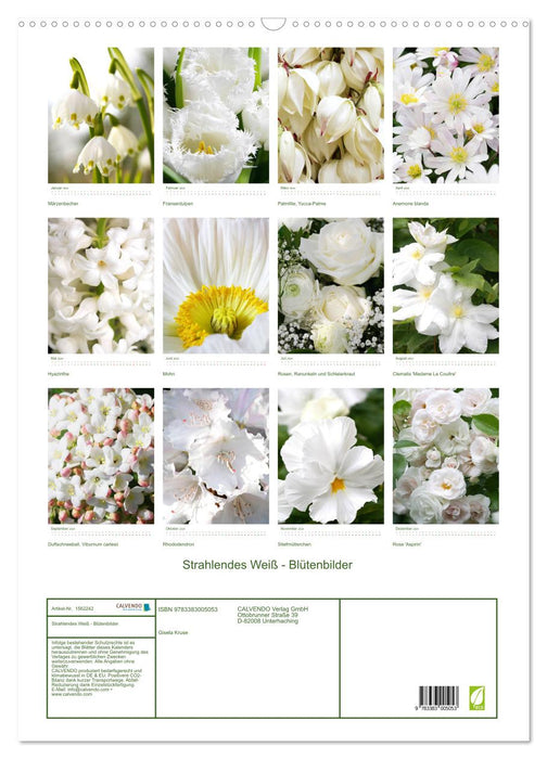 Bright white flower pictures (CALVENDO wall calendar 2024) 