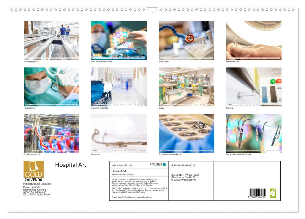 Hospital Art (CALVENDO wall calendar 2024) 