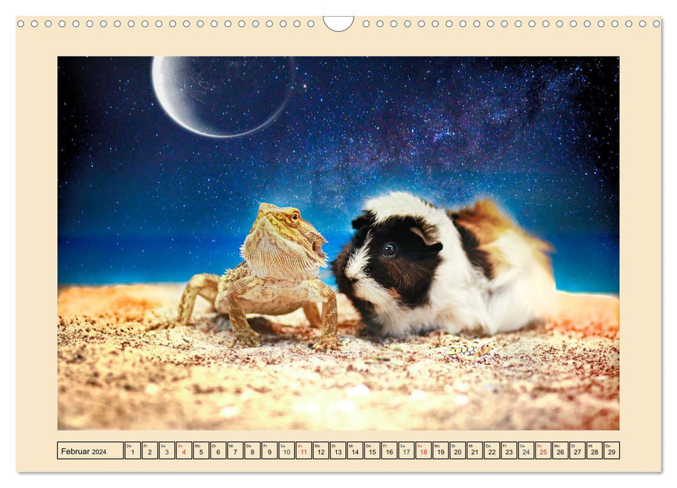 Guinea pigs 2024, little heartbreakers (CALVENDO wall calendar 2024) 