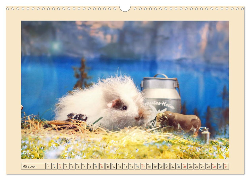 Guinea pigs 2024, little heartbreakers (CALVENDO wall calendar 2024) 