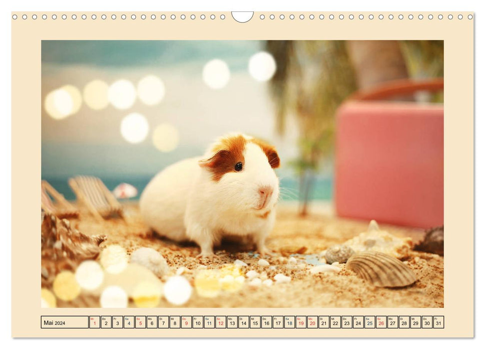 Guinea pigs 2024, little heartbreakers (CALVENDO wall calendar 2024) 