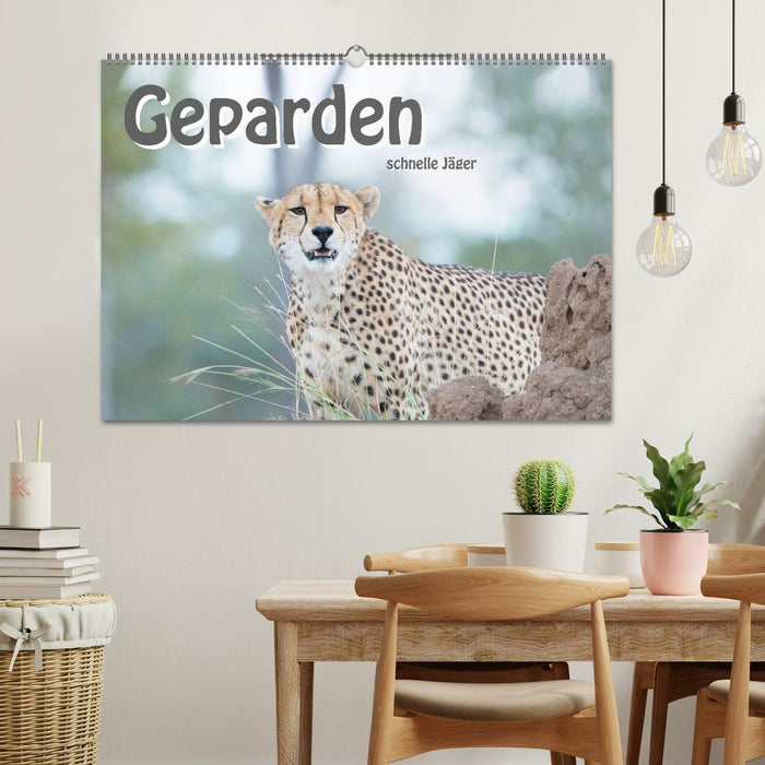 Geparden - schnelle Jäger (CALVENDO Wandkalender 2024)