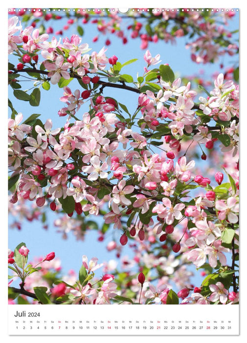 Beglückender Frühling (CALVENDO Premium Wandkalender 2024)