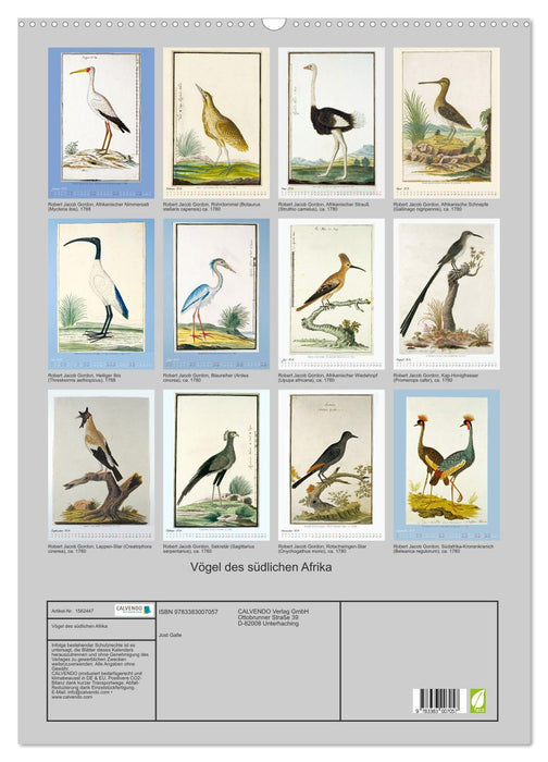 Oiseaux d'Afrique australe (Calendrier mural CALVENDO 2024) 