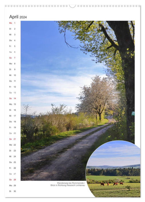 The Grimmsteig (CALVENDO wall calendar 2024) 