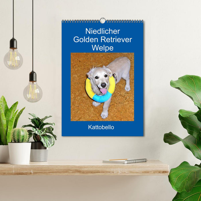 Cute Golden Retriever Puppy (CALVENDO Wall Calendar 2024) 