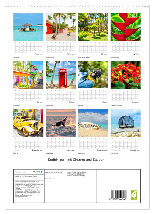 Pure Caribbean - with charm and magic (CALVENDO Premium Wall Calendar 2024) 