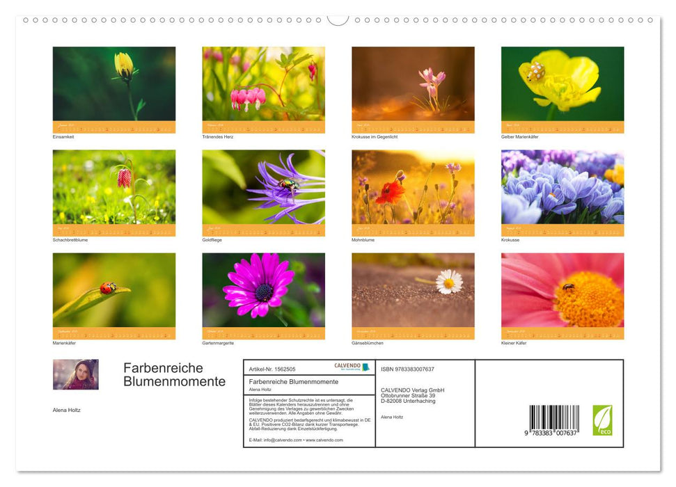 Farbenreiche Blumenmomente (CALVENDO Premium Wandkalender 2024)