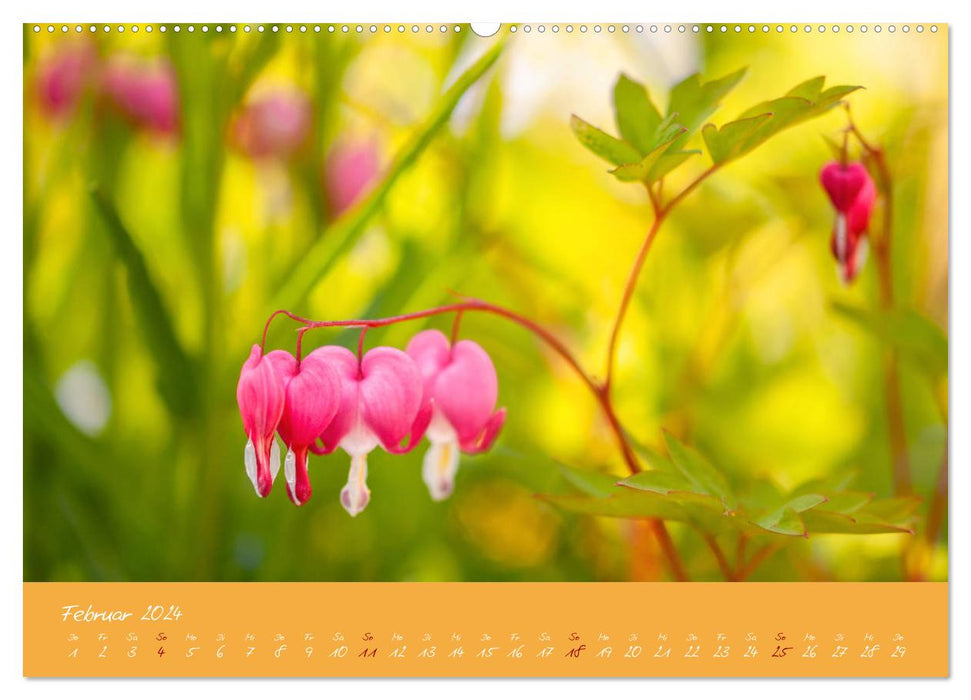 Moments floraux colorés (Calendrier mural CALVENDO Premium 2024) 